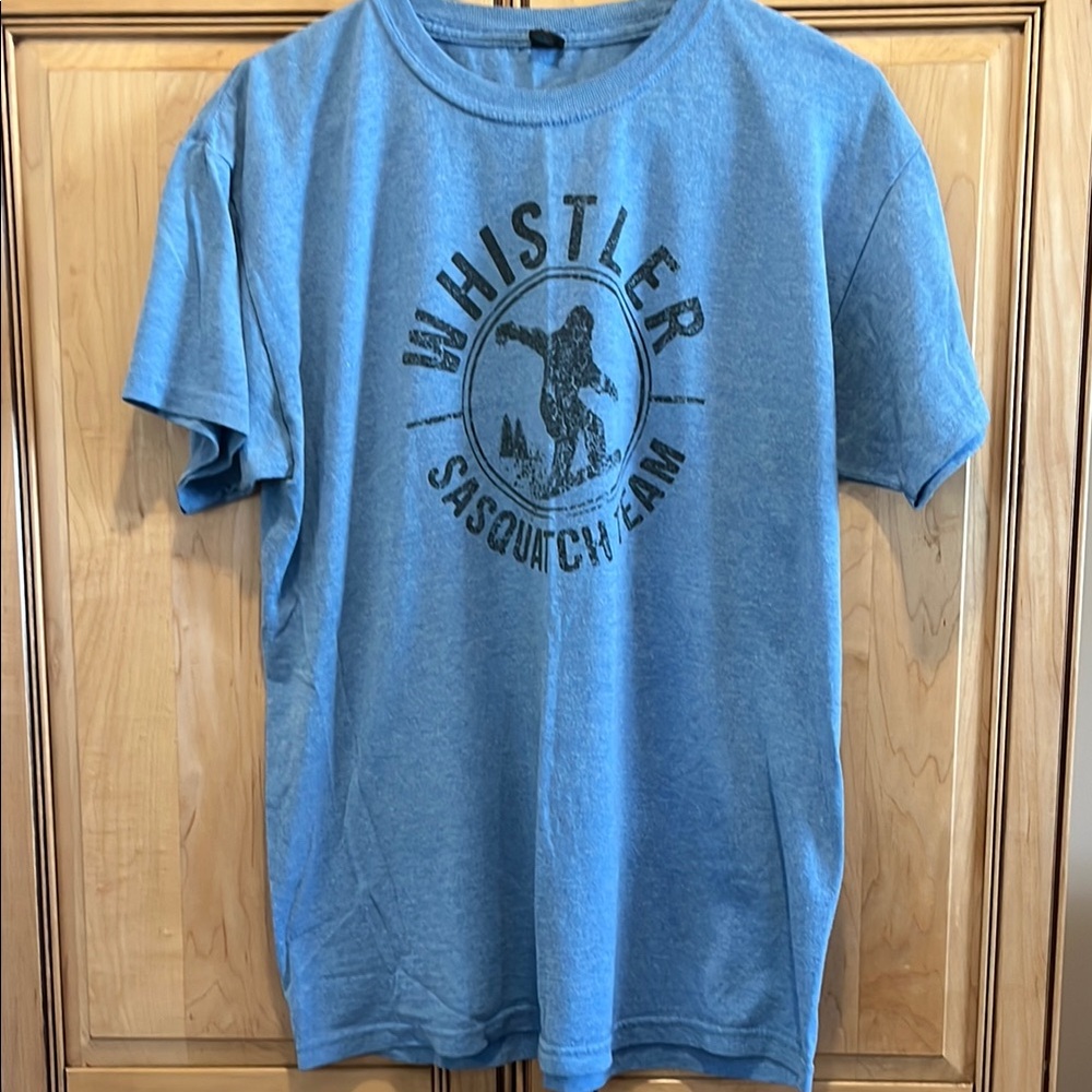 Blue Graphic Men's Short Sleeve T-Shirt
